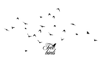 A flock of flying silhouette birds. Vector illustration