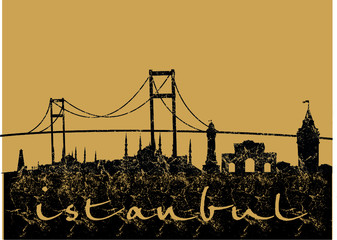 Istanbul city skyline graphic design vector art