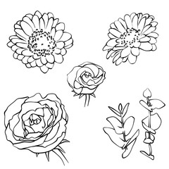 Contour drawing flowers black and white