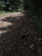 
mountains and uncovered roads, of the Colombian lands, with beautiful views