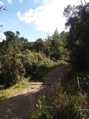 
mountains and uncovered roads, of the Colombian lands, with beautiful views