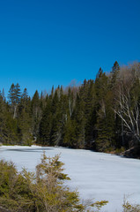 Rivière printanière en forêt canadienne, au Québec