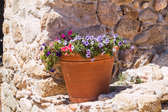 Maceta Con Flores Con Pared De Piedra