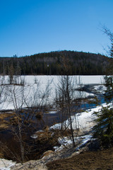 Rivière du printemps en forêt canadienne, au Québec