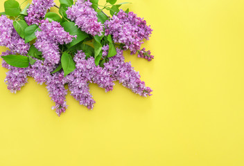 Lilac flowers yellow background Floral border
