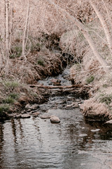 Creek in the woods. Waterfall in forest. Broken trees, branches. Dried tree branches. Large and small stones in water. Cold water. Forest nature. Water between stones. Wet stones. Yellow, brown, grey