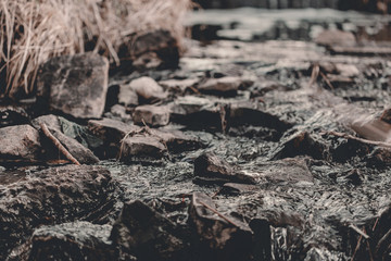 Creek in the woods. Waterfall in forest. Broken trees, branches. Dried tree branches. Large and small stones in water. Cold water. Forest nature. Water between stones. Wet stones. Yellow, brown, grey
