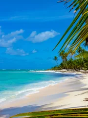 Papier peint photo  Typical village Mano Juan in Saona island, Dominican republic  © boivinnicolas