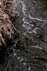 Creek in the woods. Waterfall in forest. Broken trees, branches. Dried tree branches. Large and small stones in water. Cold water. Forest nature. Water between stones. Wet stones. Yellow, brown, grey