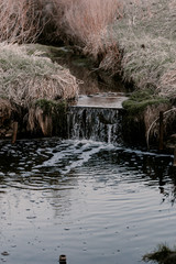 Creek in the woods. Waterfall in forest. Broken trees, branches. Dried tree branches. Large and small stones in water. Cold water. Forest nature. Water between stones. Wet stones. Yellow, brown, grey