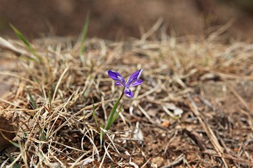 한국 인천시 강화군 전등사입니다
