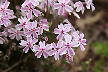 한국 인천시 강화군 전등사입니다