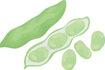 Fava beans on white background.