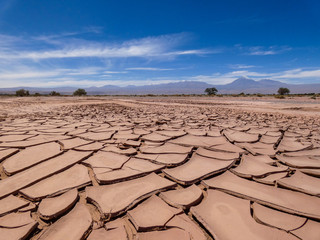 Surroundings of San Pedro De Atacama