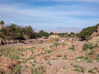 Surroundings of San Pedro De Atacama