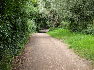 Fototapeta na wymiar Footpath in the park