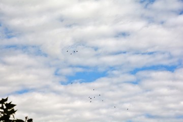 clouds in the blue sky