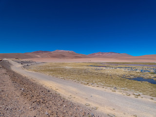 Fototapeta na wymiar San Pedro de Atacama, Chile; landscape on the outskirts of town