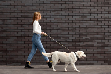 young urban girl walks with a dog on the street against the background of the wall, a woman runs...
