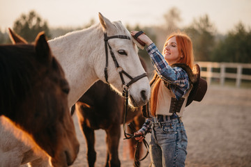 Young woman farmer combing a horse at the ranch. Close-up.