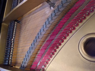 accordion on the table