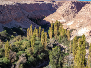 Fototapeta premium Jere Valley in San Pedro de Atacama, a valley in the middle of the driest desert in the world