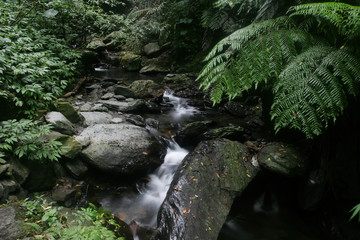 Beautiful creek landscape of Linmei Shihpan Trail