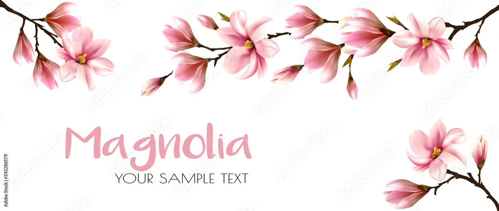 Aufkleber Abstract spring background with beautiful magnolia branches. Vector.