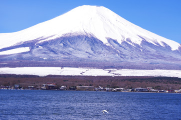山中湖畔から望む富士山と青い空