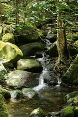 Natural Qingshan Falls trail around the Shimen area