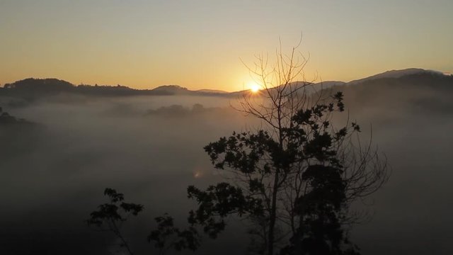 time lapse of sunrise landscape with fog or haze mountains and a tree silhouette in foreground in jarabacoa dominican republic
