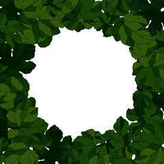 Frame with grape leaves, vector illustration, ornament for greetings and design, pattern in green