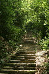 Fototapeta na wymiar Hiking in the Yinghan Peak Trail