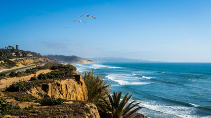 Mid day landscape photo of seagulls flying in the air on the coast by the Pacific ocean in San...