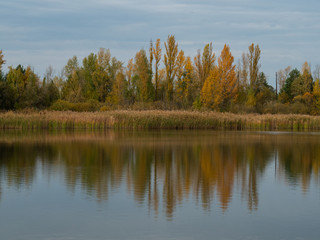 Fototapeta na wymiar Autumn landscape lake in Pripyat, Chernobyl Exclusion Zone in Ukraine