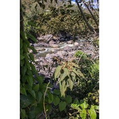 Monumentos, cielos, animales y flores de Colombia. 
