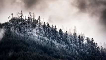 Crédence de cuisine en verre imprimé Forêt dans le brouillard Photo cinématographique de la limite des arbres recouverte de neige sur une montagne avec des nuages sombres et menaçants au-dessus