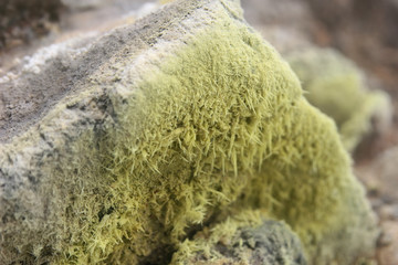Nature landscape of the Xiaoyoukeng of Yang Ming Shan