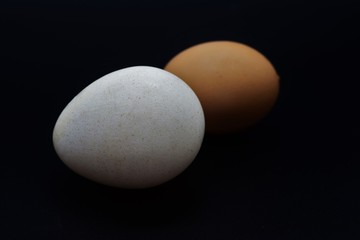 Turkey and Chicken Egg size comparison on black background