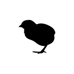 Farm animals chicken chick vector icon