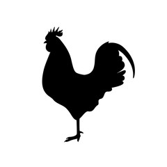 Farm animals cock rooster icon vector - obrazy, fototapety, plakaty