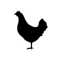 Farm animals hen chicken icon vector
