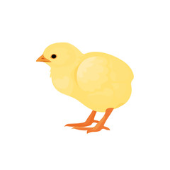 ПечатьFarm animals chicken chick vector 
