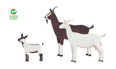 Farm Animals Goat Set Vector Illustration