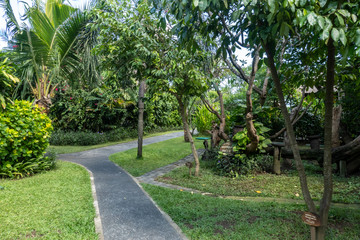 Fototapeta na wymiar Paved pathway through the beautiful well manicured landscaped tropical gardens in Legian Bali
