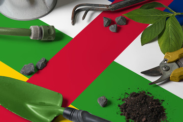 Central African Republic flag with gardening tools background on table. Spring in the garden concept with free copy space.