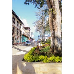 Fototapeta premium Monumentos, cielos, animales y flores de Colombia. 