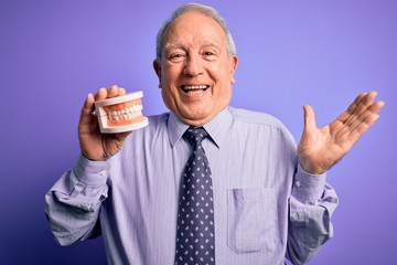 Grey haired senior man holding orthodontic prosthesis denture over purple background very happy and excited, winner expression celebrating victory screaming with big smile and raised hands