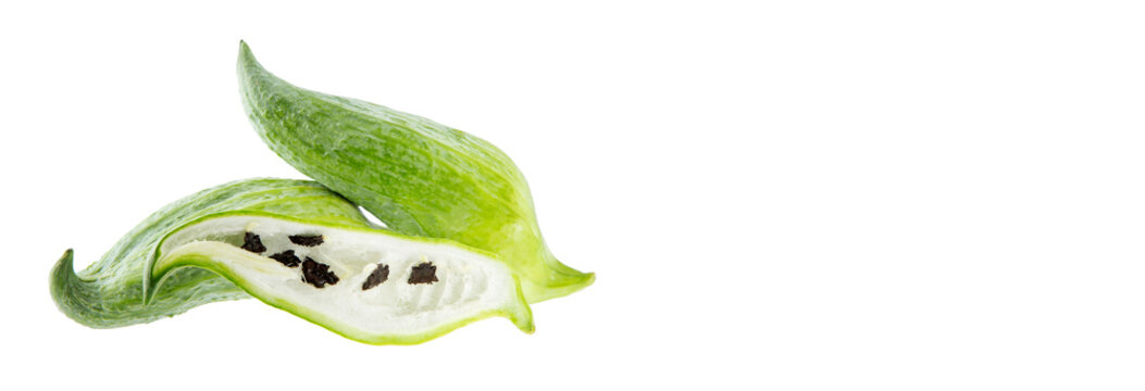 Achocha and cucumber filling - Cyclanthera pedata