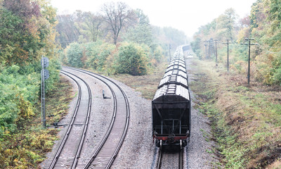Train with freight wagons on the railway in the forest